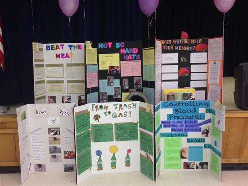 Science Fair 2014 